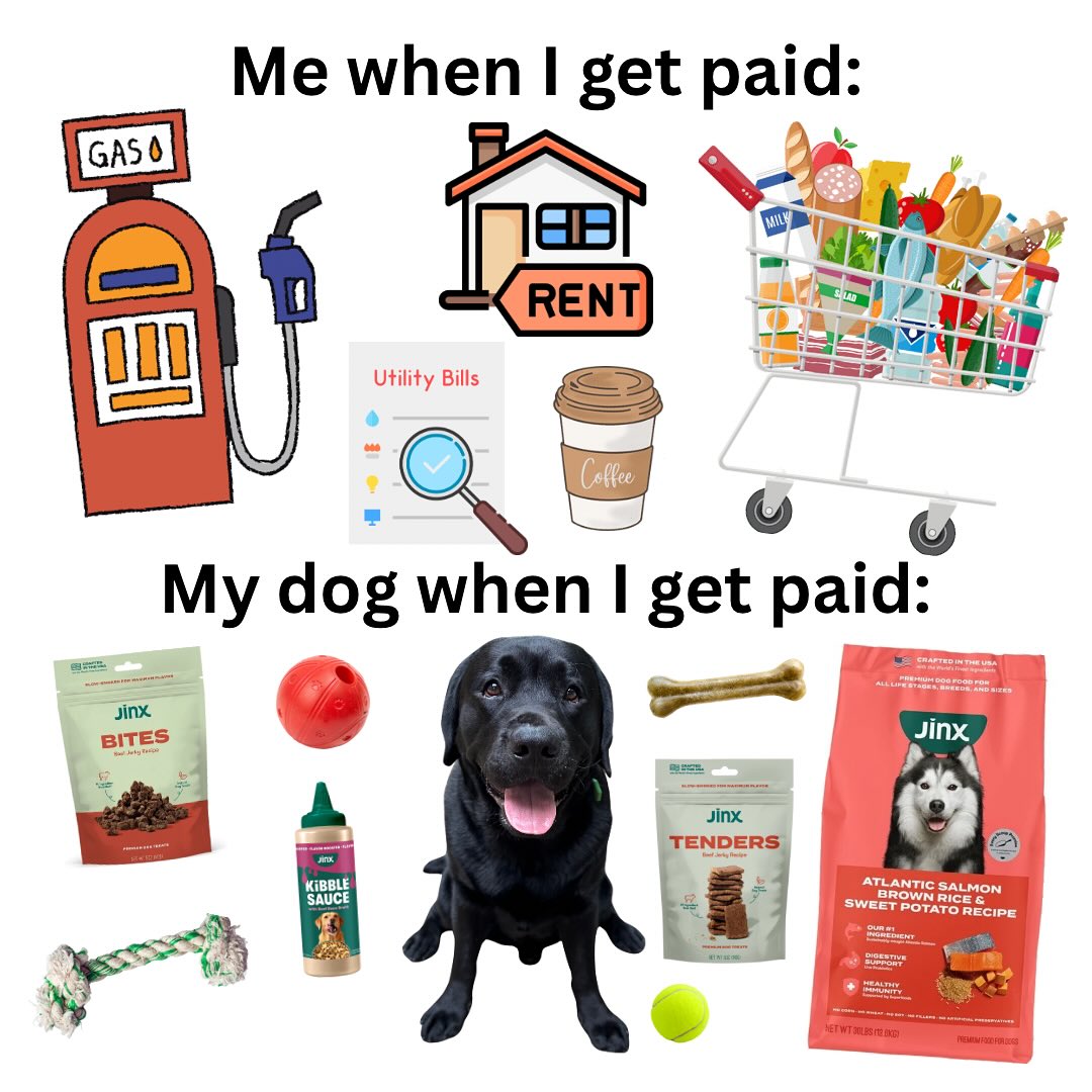 Jinx ad — Dog food for the modern pup.