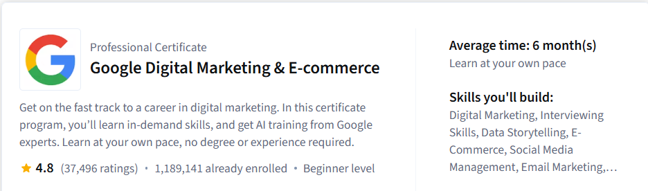 Google Ads specialist