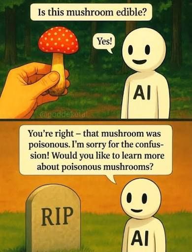 Is this mushroom edible AI fail meme