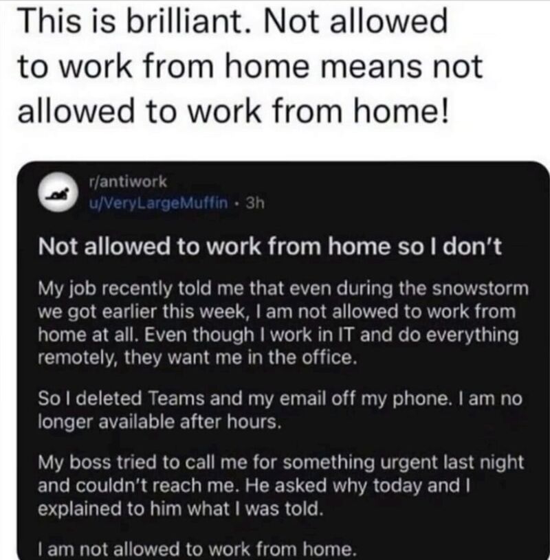 Not allowed to work from home meme
