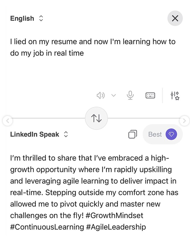 I lied on my resume LinkedIn Speak translator meme